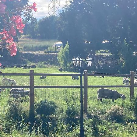 Le Studio D Aurelie Avec Spa Ete En Pleine Campagne Et Proche De Toute Commodite Roquemaure  Eksteriør billede