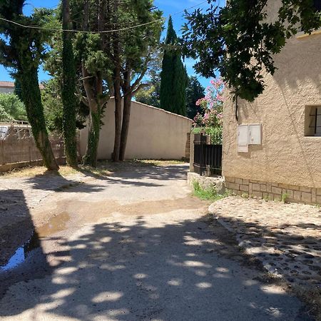 Le Studio D Aurelie Avec Spa Ete En Pleine Campagne Et Proche De Toute Commodite Roquemaure  Eksteriør billede