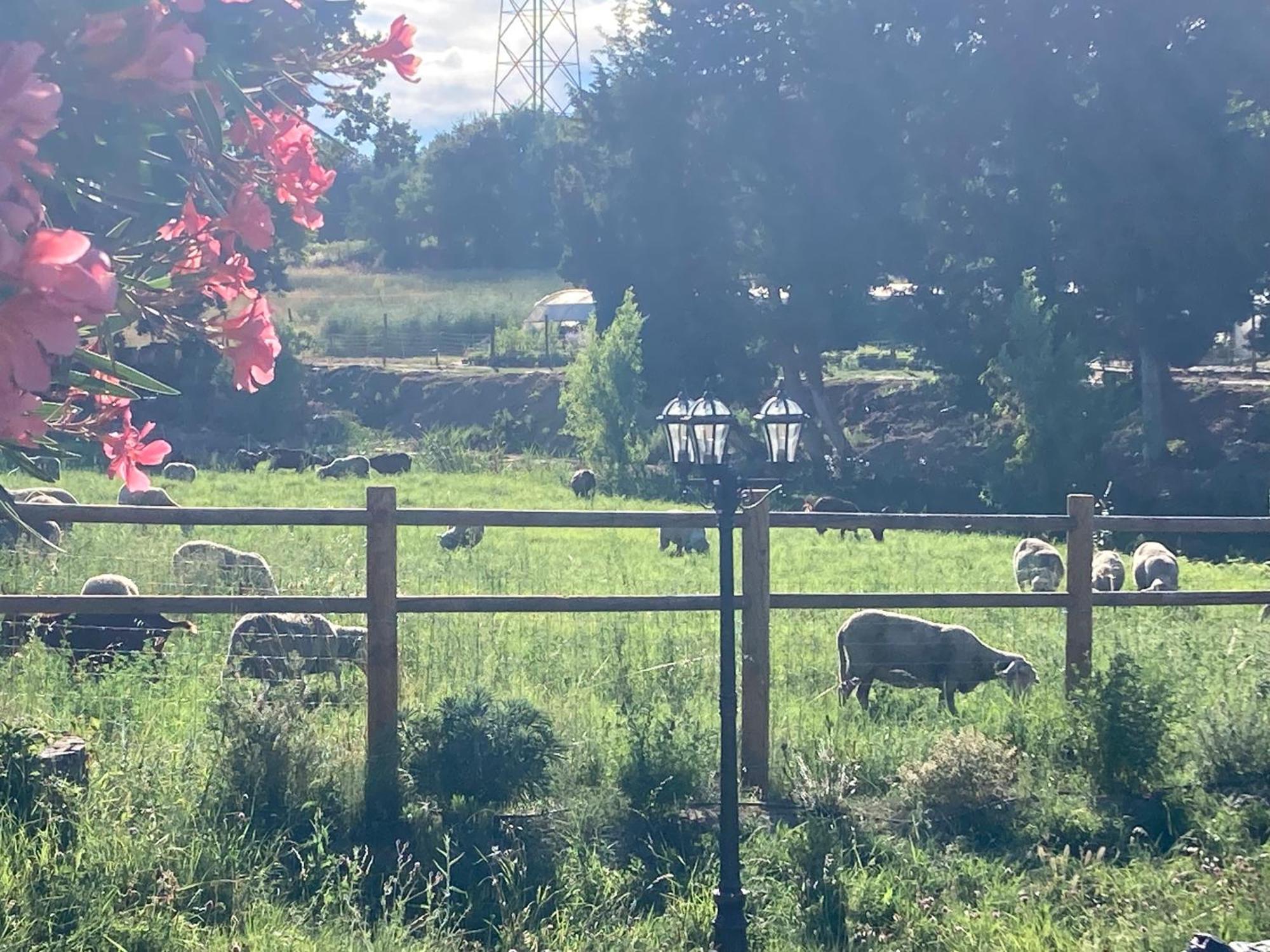 Le Studio D Aurelie Avec Spa Ete En Pleine Campagne Et Proche De Toute Commodite Roquemaure  Eksteriør billede